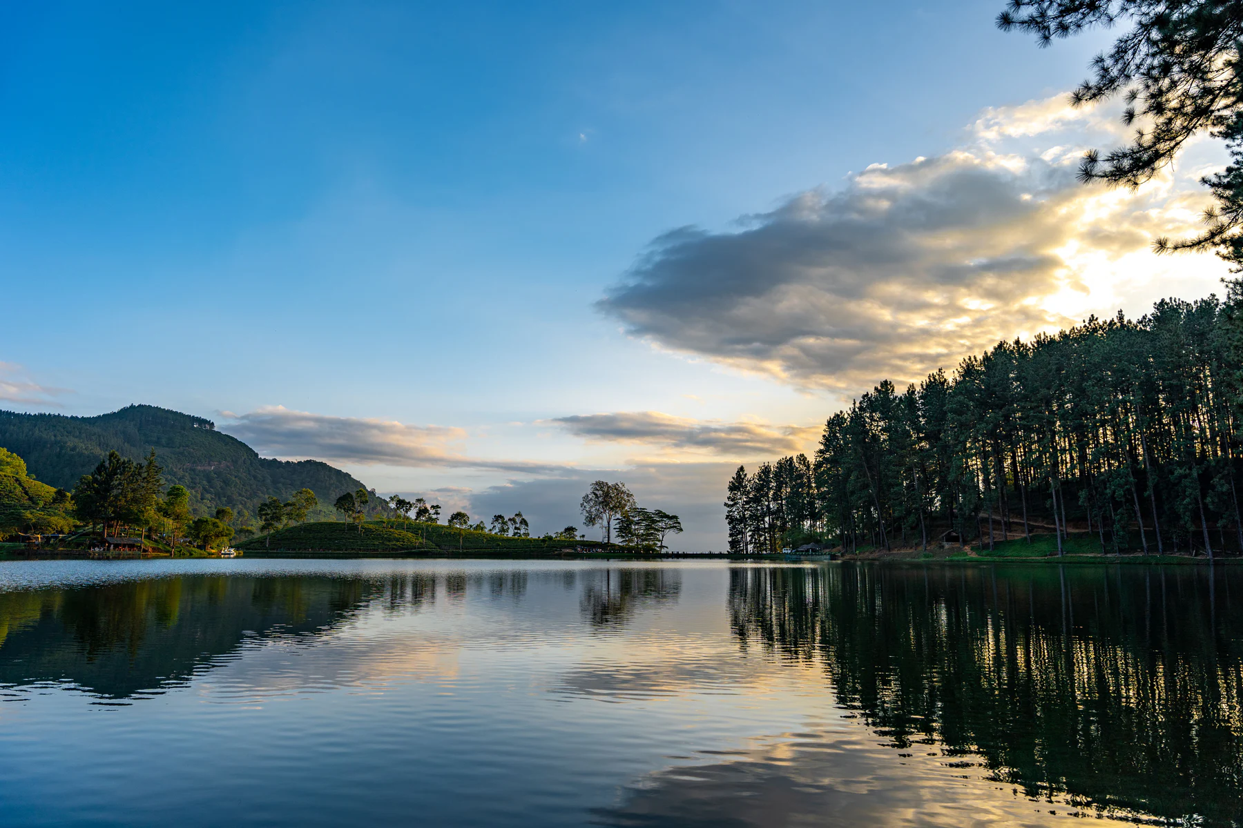 A calm Sri Lankan lake and forest at sunset